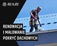 Malowanie dachu Renowacja pokryć dachowych. Wolne Terminy 2025!