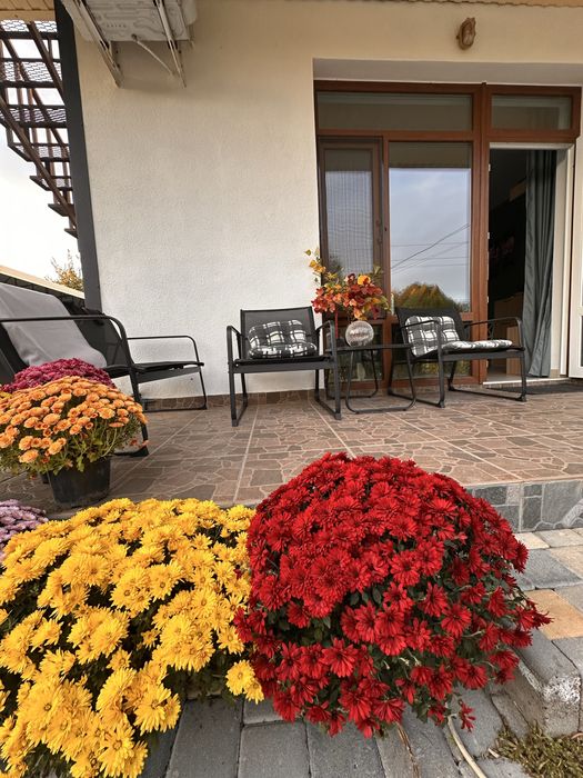 Готель HAPPY: апартаменти, оренда житла подобово Фонтанка (Одеса),