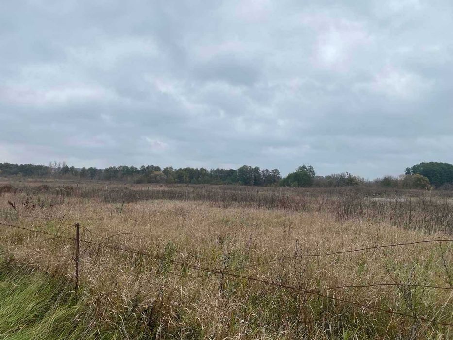 Продаж земельної ділянки в селі Селище