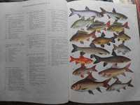 Книга Альфред Брем. Рыбы