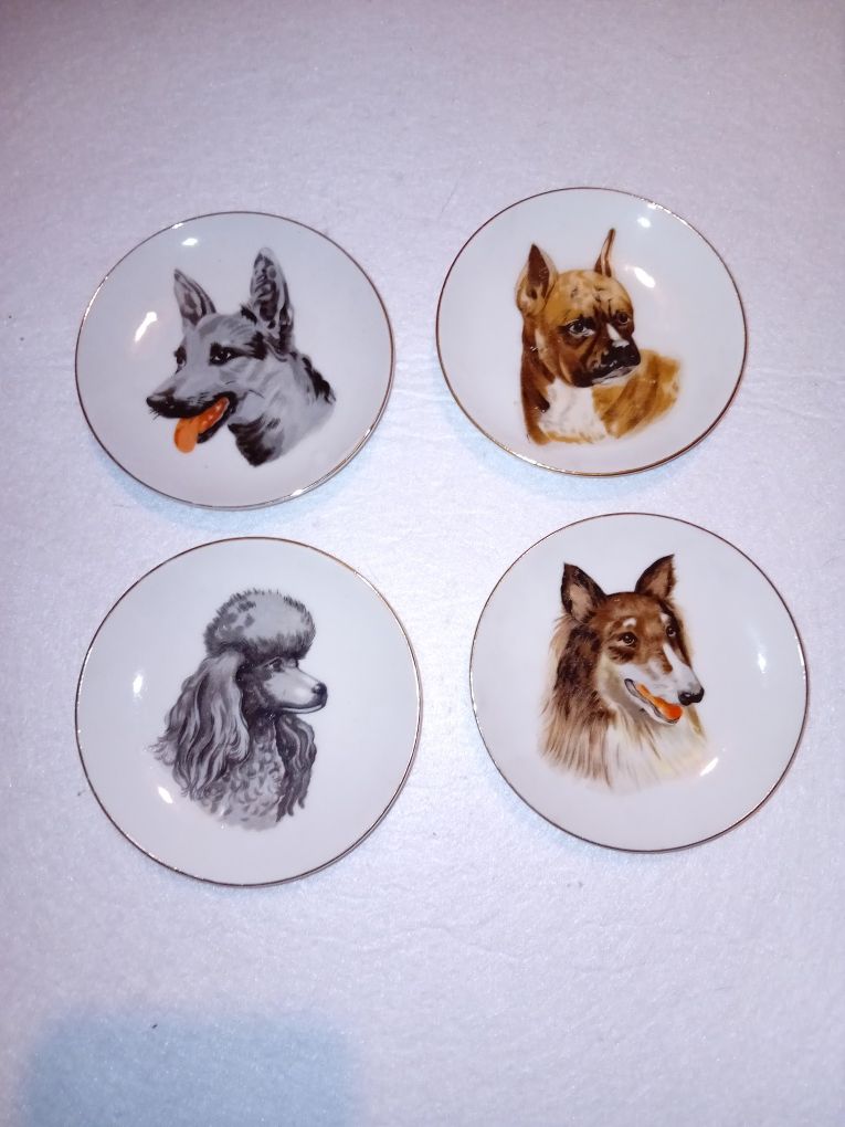 4 pratinhos de porcelana imagens de cães