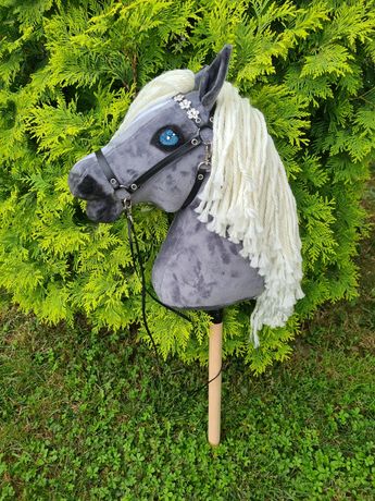Hobby horse, koń na kiju
