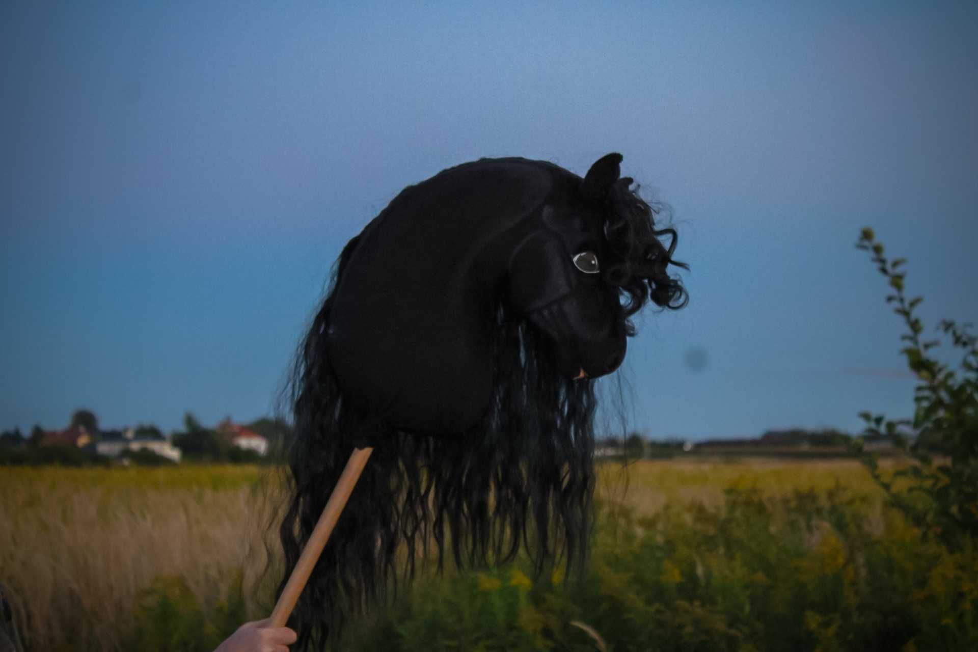 Hobby horse ujeżdżeniowy A3