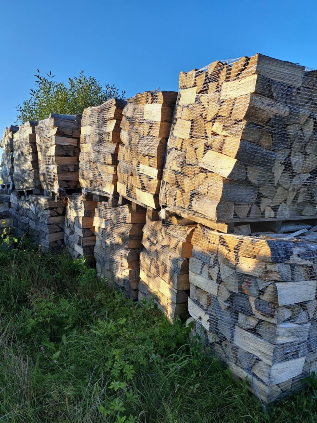 Suche drewno, drzewo opałowe ,kominkowe