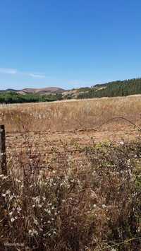 Herdade Baixo Alentejo/500 ha