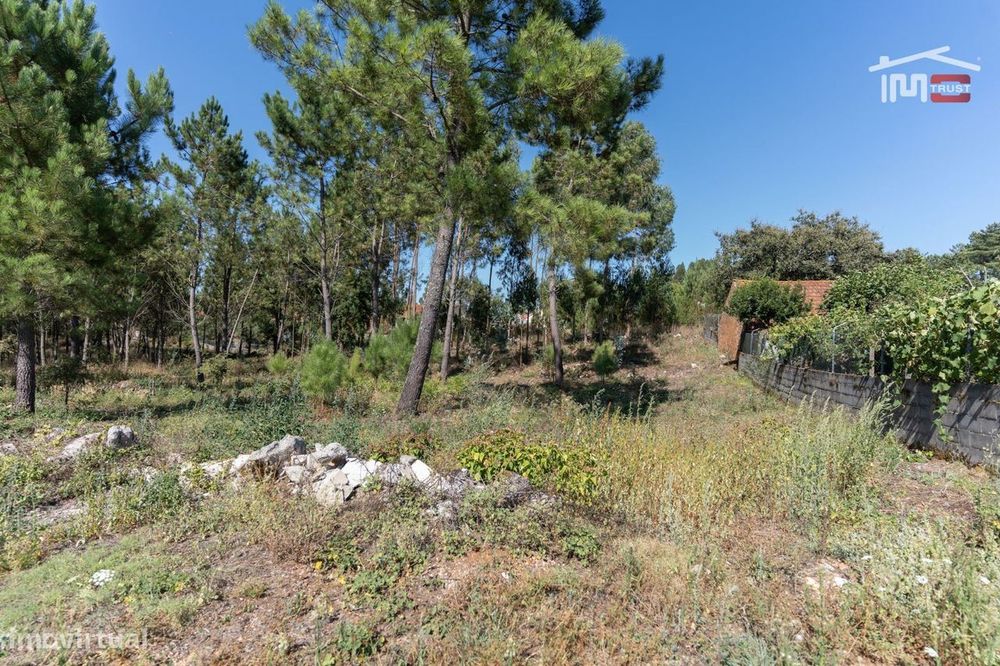 Terreno Com Area De 3870 M2 Uma Parte Para Construção Em Casal Velh...