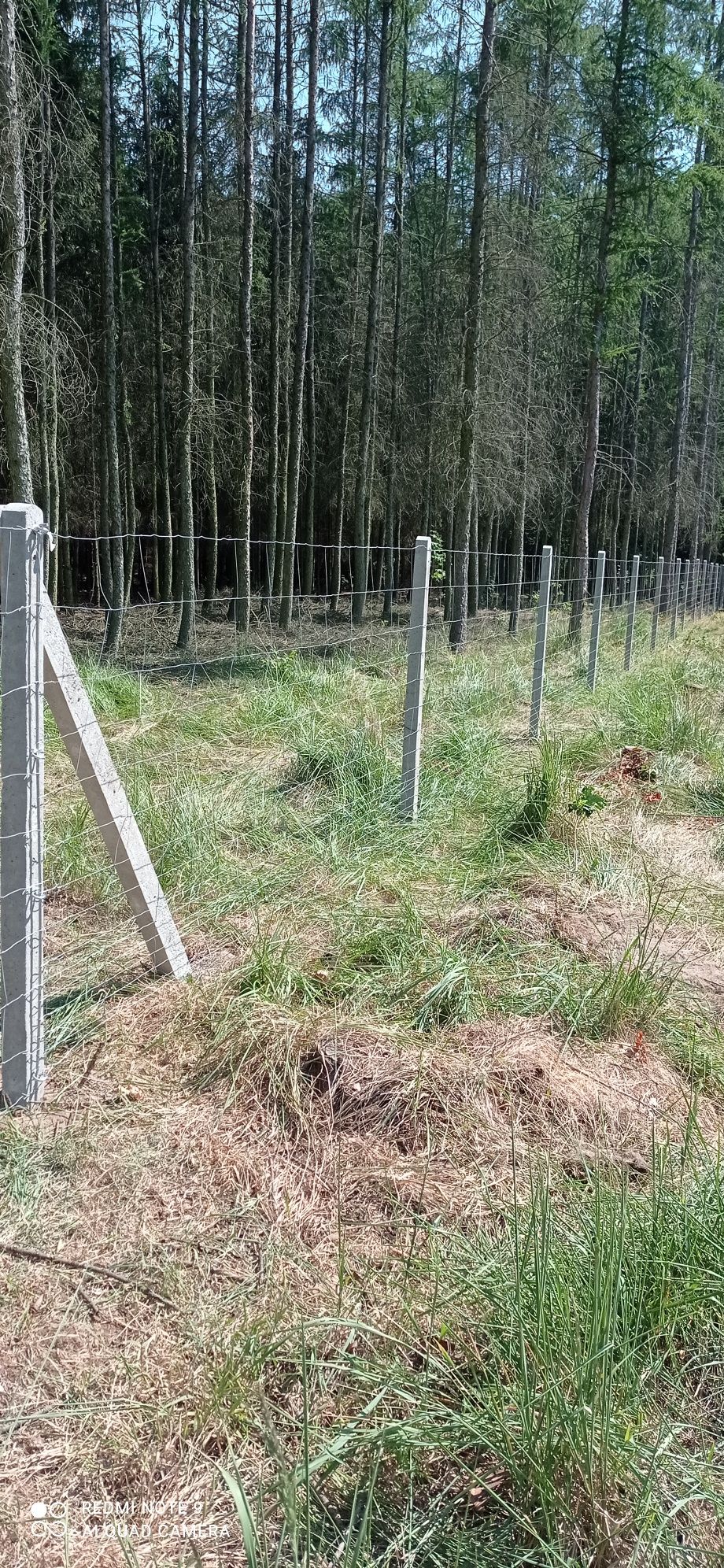 Ogrodzenie z siatki lesnej