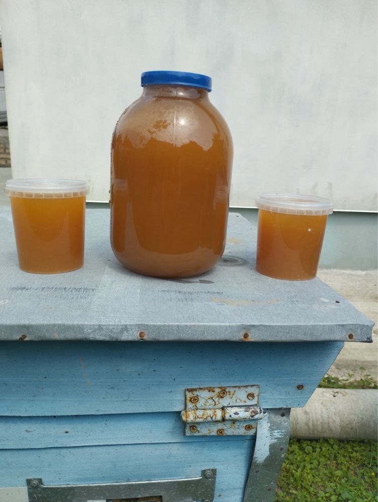 Продам мед з власної пасіки