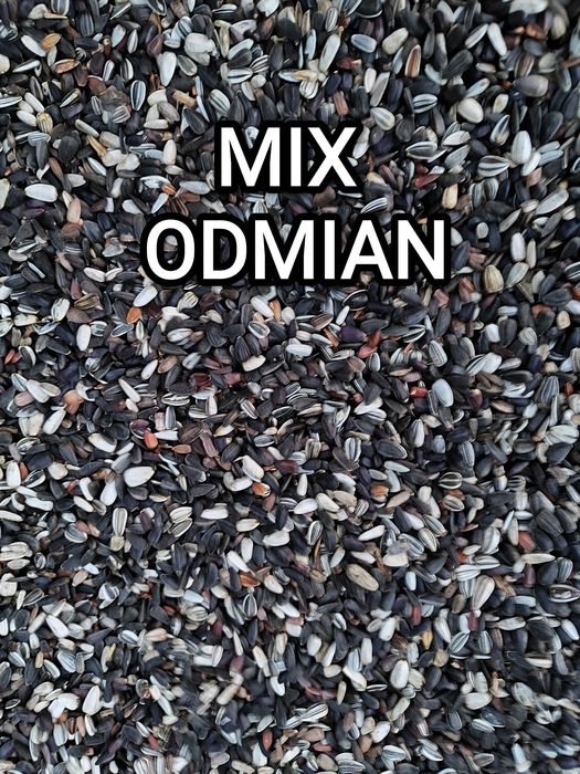 Słonecznik ozdobny nasiona