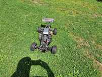 Model RC Reely Carbon Fighter