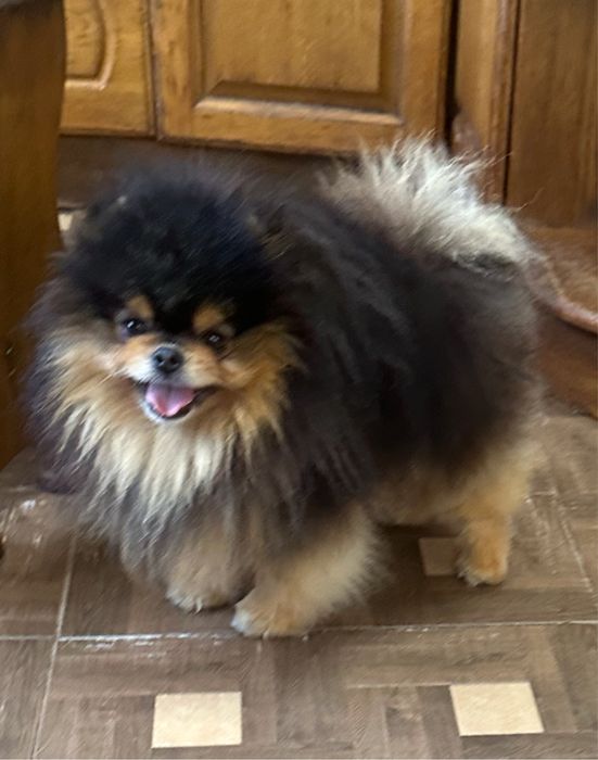 Супер красень чекае дам