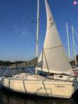 Czarter Jachtu - S/Y Vipera - Zalew Szczeciński - Jezioro Dąbie