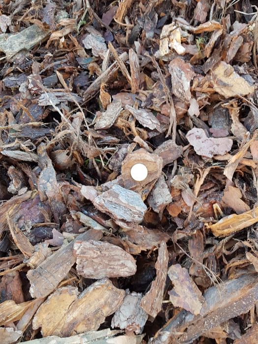Kora sosnowa luzem gruba czysta b.ladna,ziemia z nawozem