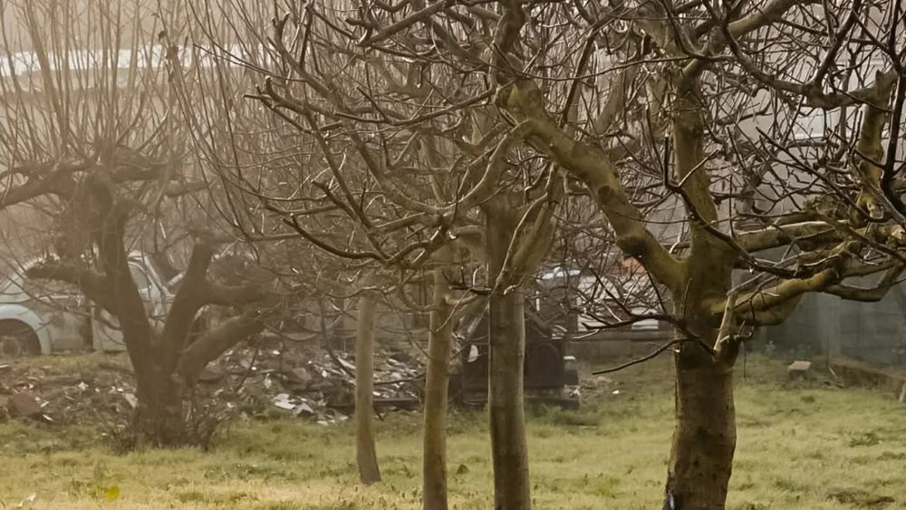 Empresa de jardinagem