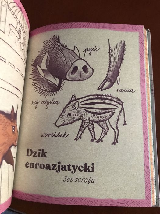 Zwierzęta miast czyli 22 portrety naszych nieudomowionych sąsiadów