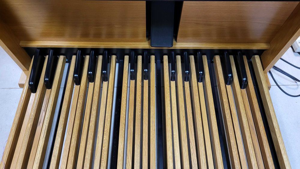 Organy Viscount Domus Jubileum 230