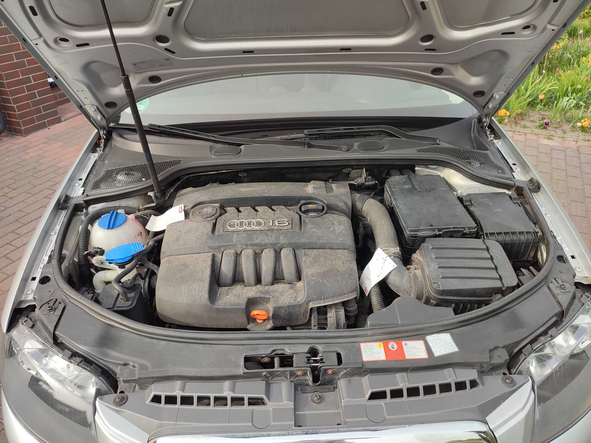 Audi A3 8P 1.6 MPI 102KM Niski Przebieg z Niemiec