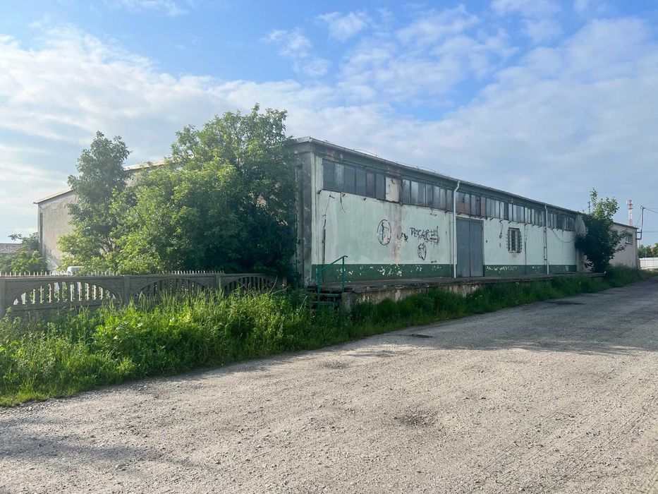 Magazyn, lokal, do wynajęcia z parkingiem  PYZDRY przy Grene