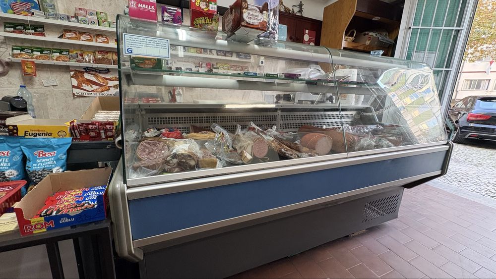 Arca Frigorifica (com Montra)