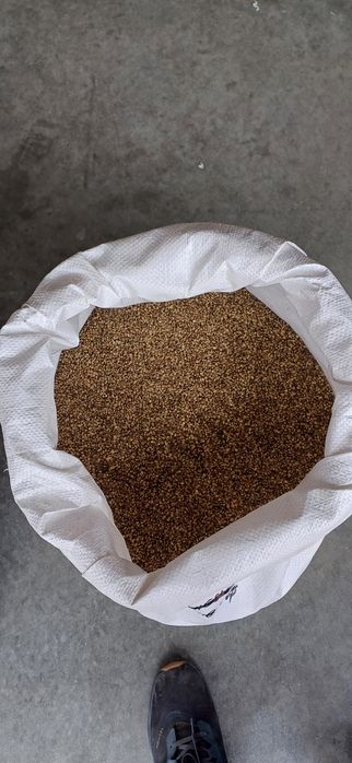 Nasiona ziarna konopi