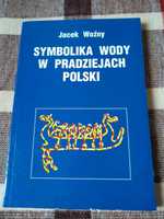 Symbolika wody w pradziejach Polski, Jacek Woźny