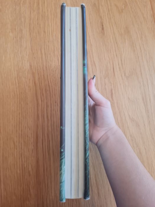 Fairy Oak: o segredo das gémeas