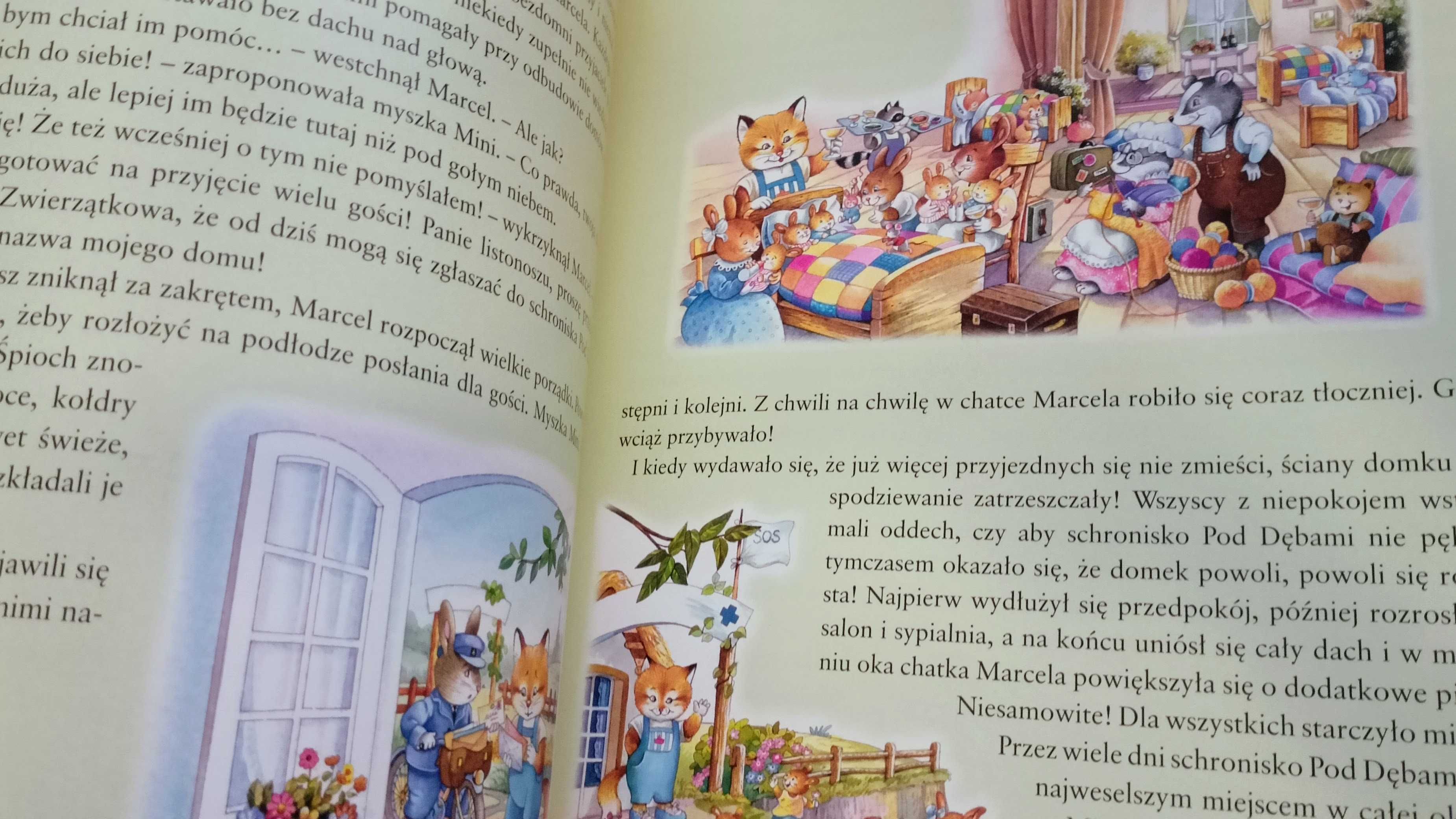 Książka: 100 bajek Krasnoludka – Basia Badowska