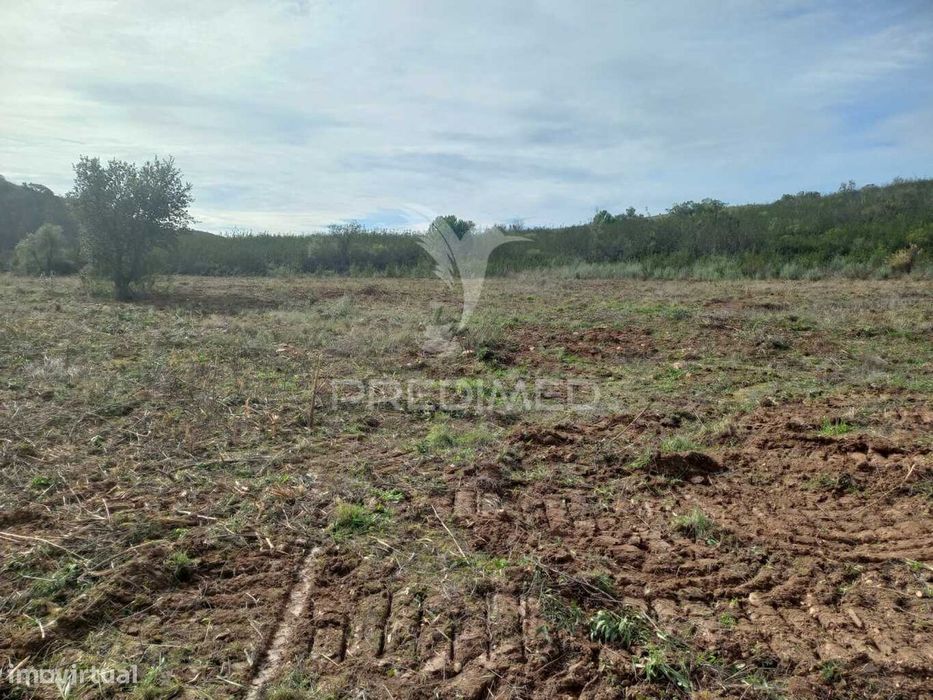 Terreno Rústico de cerca de 28ha para arrendamento