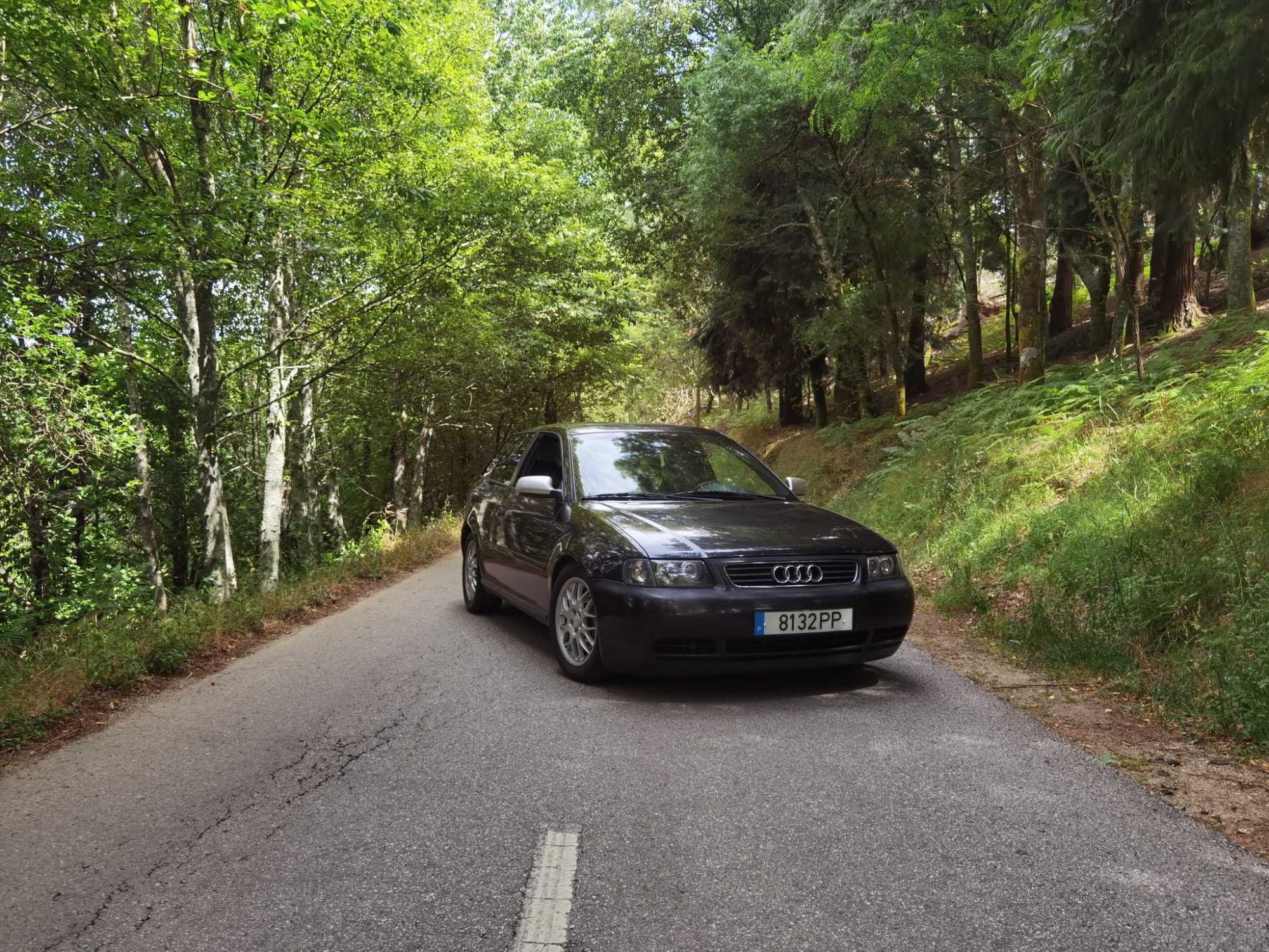 Audi a3 8L Vp110 cv
