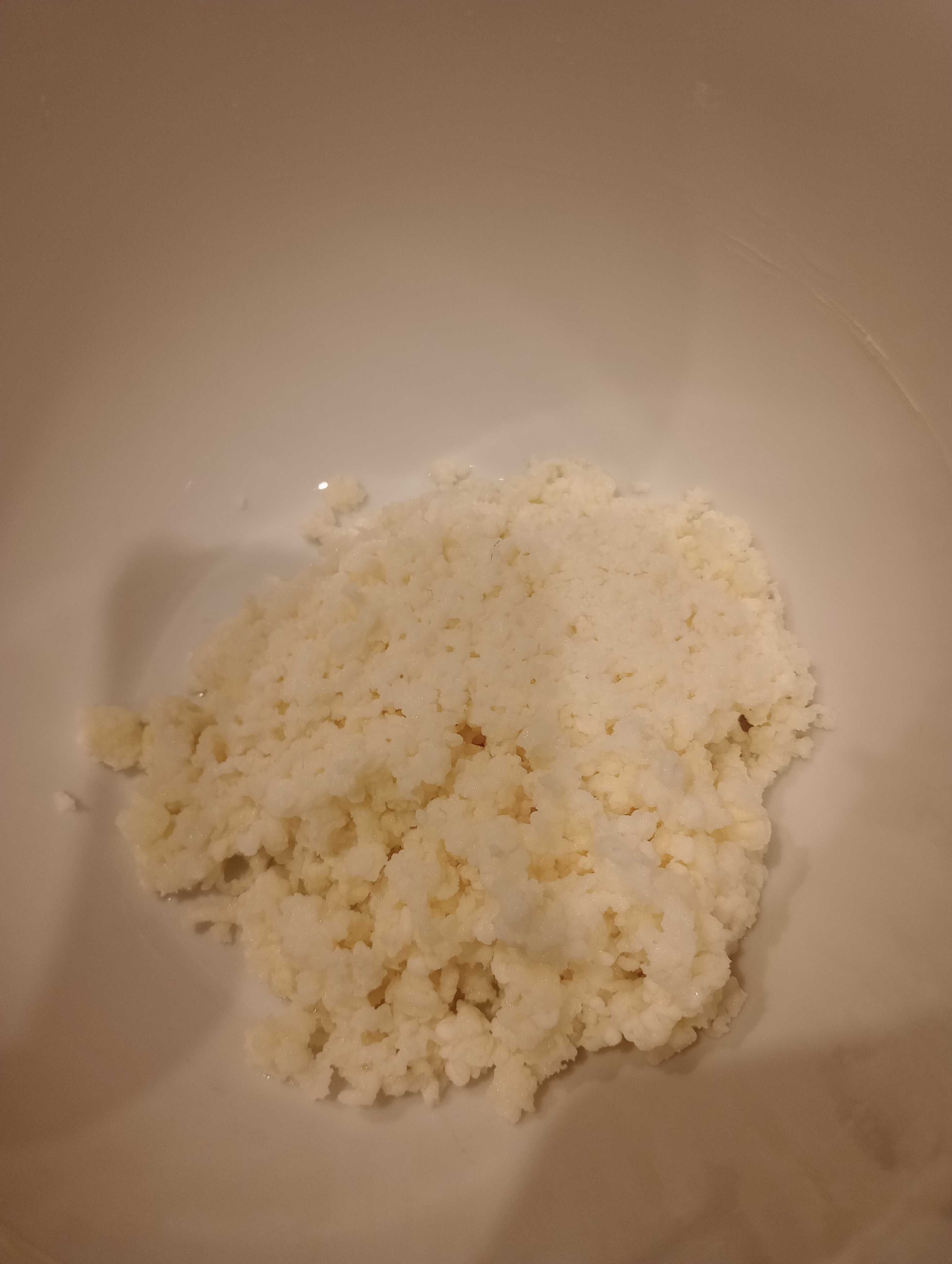 Grzybek tybetański  kefirowy 10 g