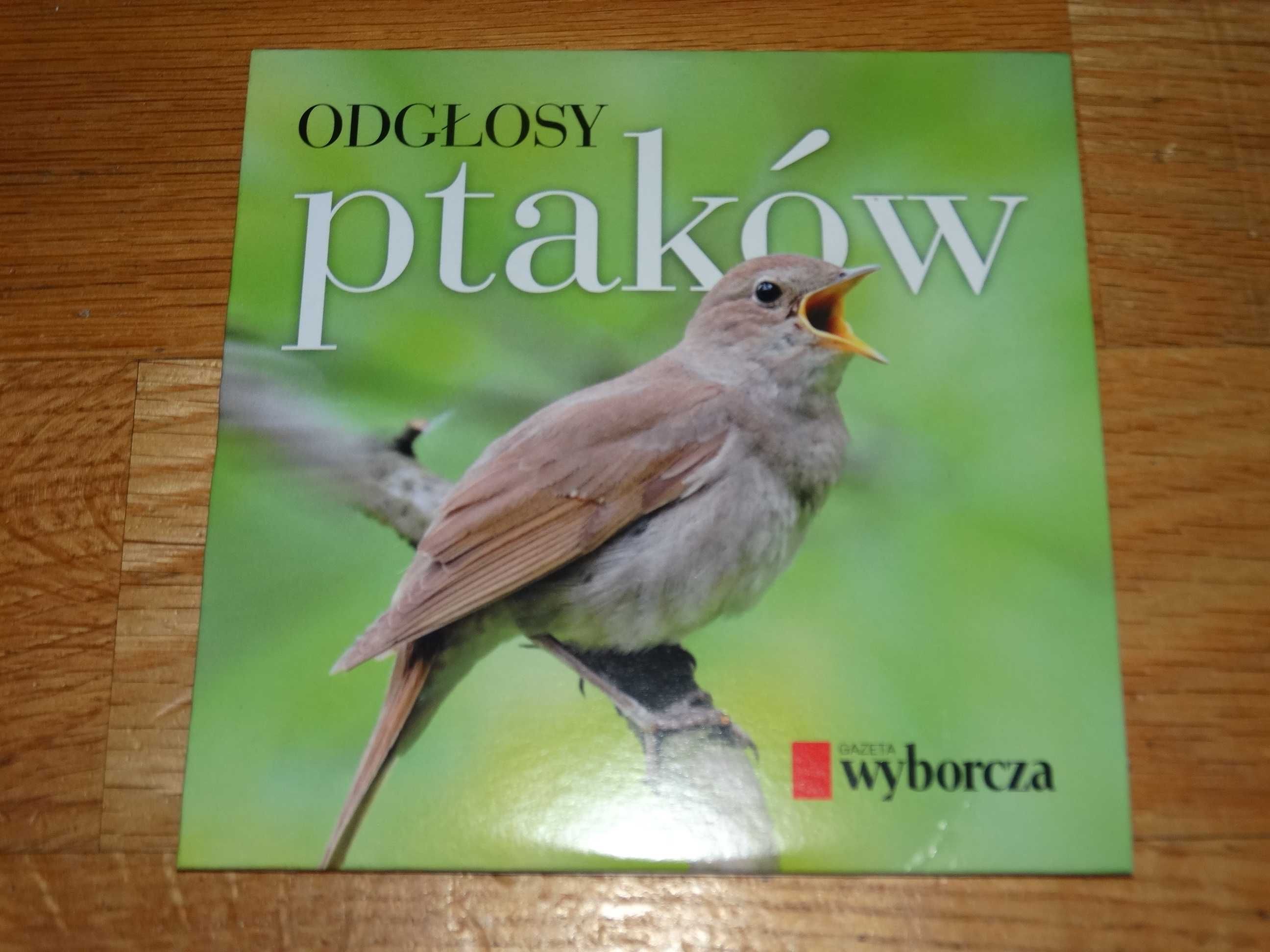 Odgłosy Ptaków 55 różnych ptaków Płyta Nowa