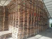 Palety 120/100  IPPC suche fitosanitare  120x100  używane ilości Tir