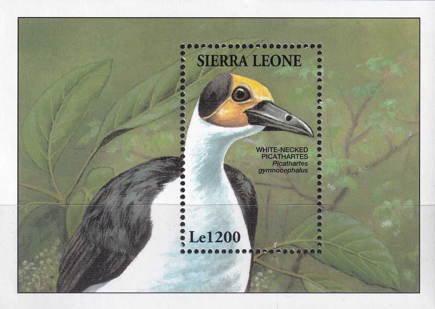 Sierra Leone 1994 cena 5,90 zł kat.6€ (2) - ptak