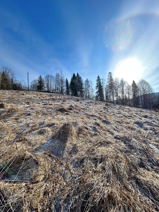 Земельна дідянка в селі Нижній Студенний