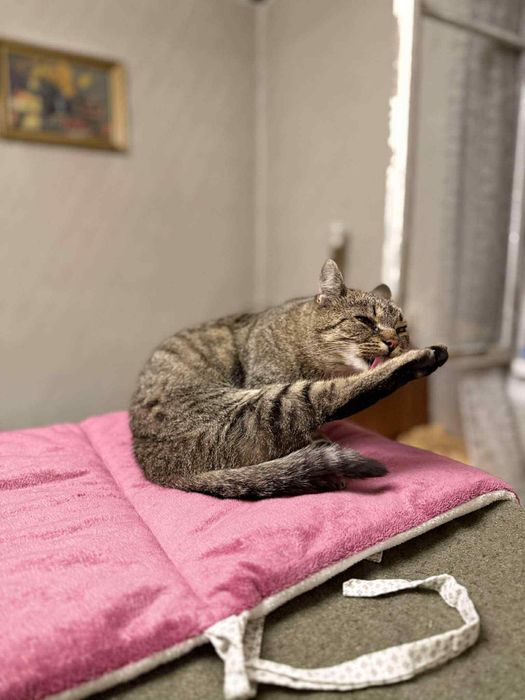 Kochana Beatka szuka domu