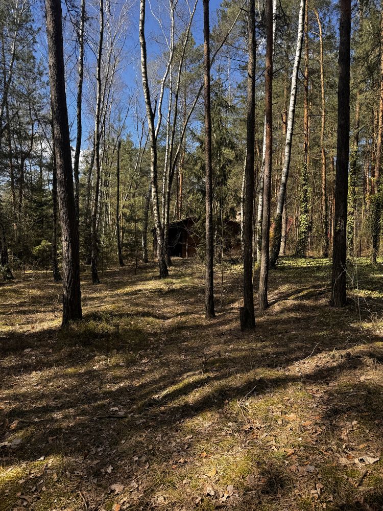 Domek nieopodal rzeki pod Warszawą na dużej działce