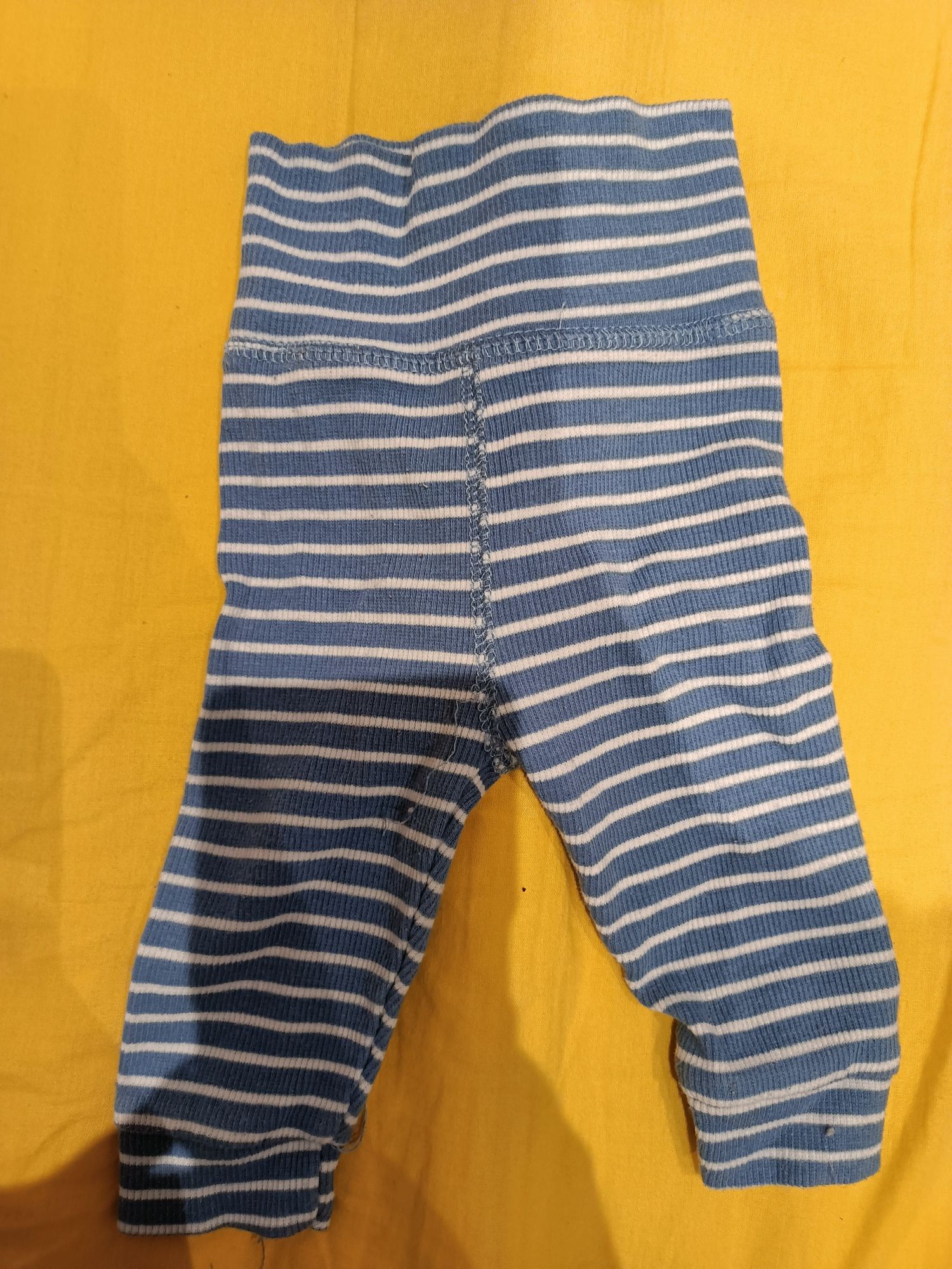 Legginsy/spodenki Ergee
