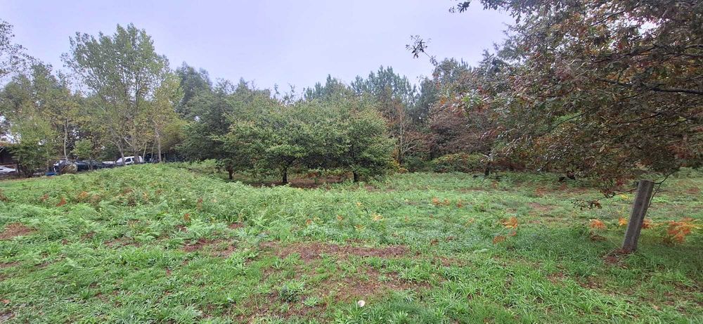 Terreno para construção