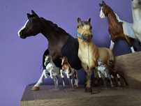 Breyer Traditional DLT Custom (Schleich, CollectA)