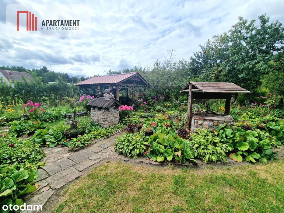 Siedlisko w Borach Tucholskich przy lesie! Staw!