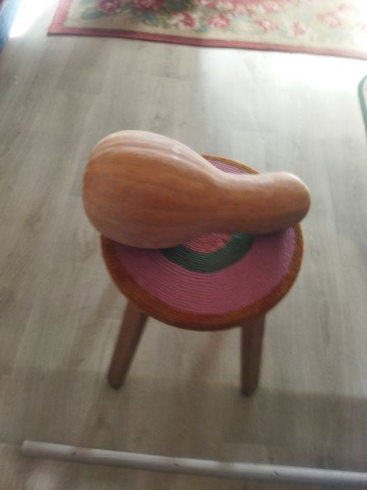 Домашні гарбузи, тыква