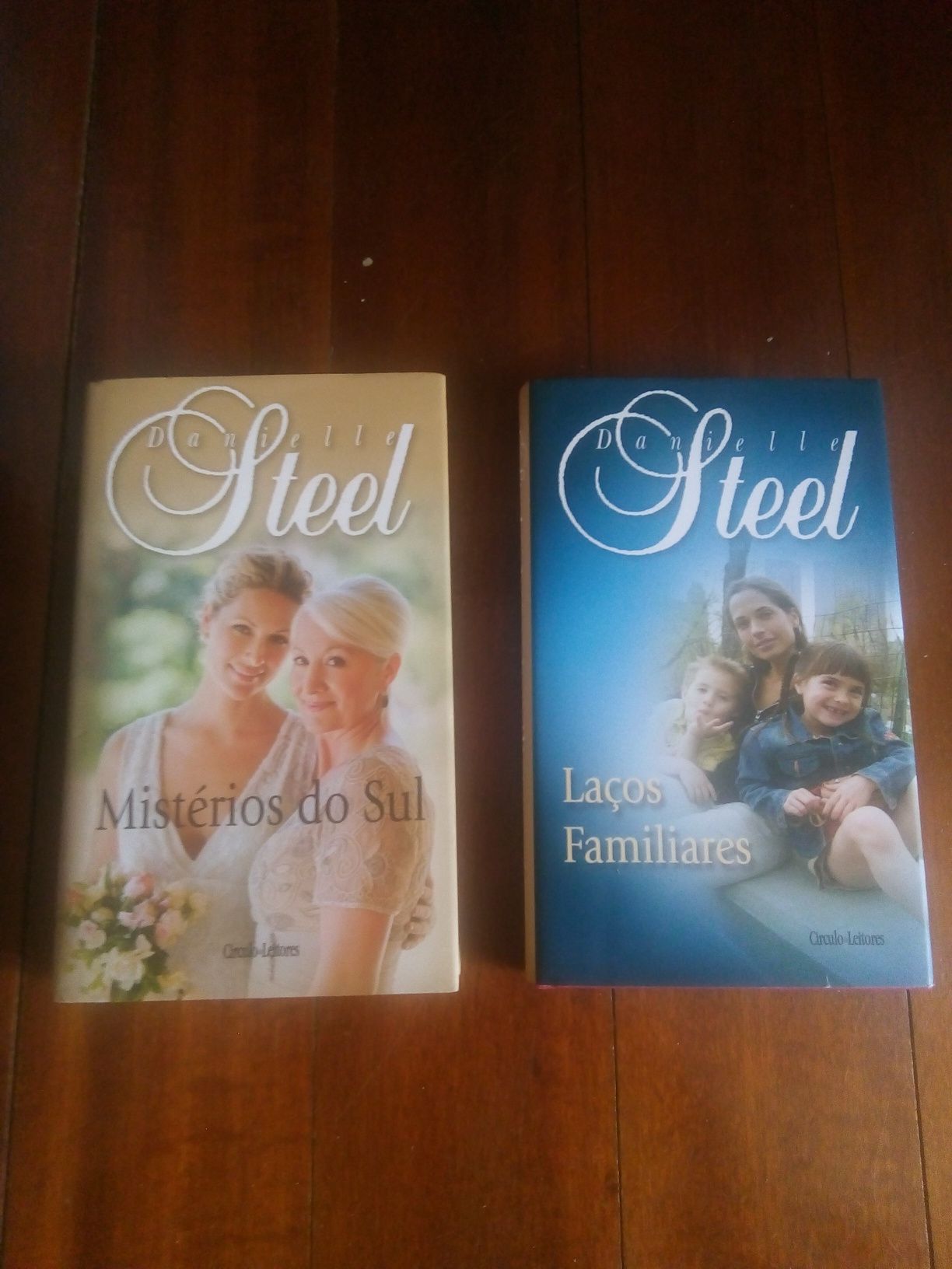 Danielle Steel - Mistérios do Sul e Laços Familiares