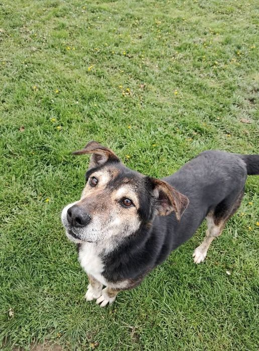 Kto pokocha Ramzesa?