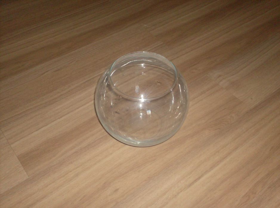 Aquário de vidro redondo