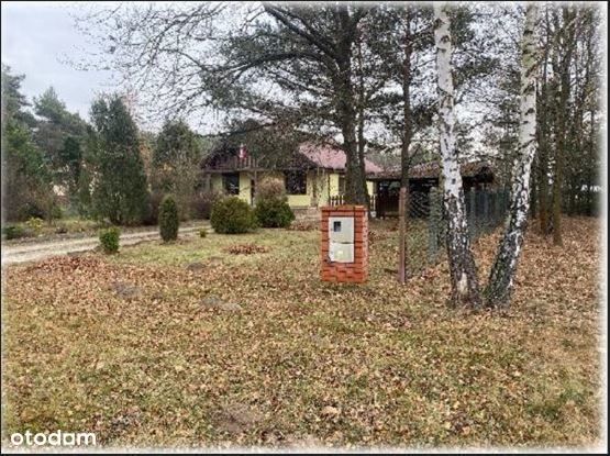 Udział w domu (bardzo duża działka)