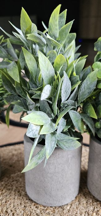 Sztuczne rośliny doniczkowe 3 szt. mini sztuczna roślina. Sweet home