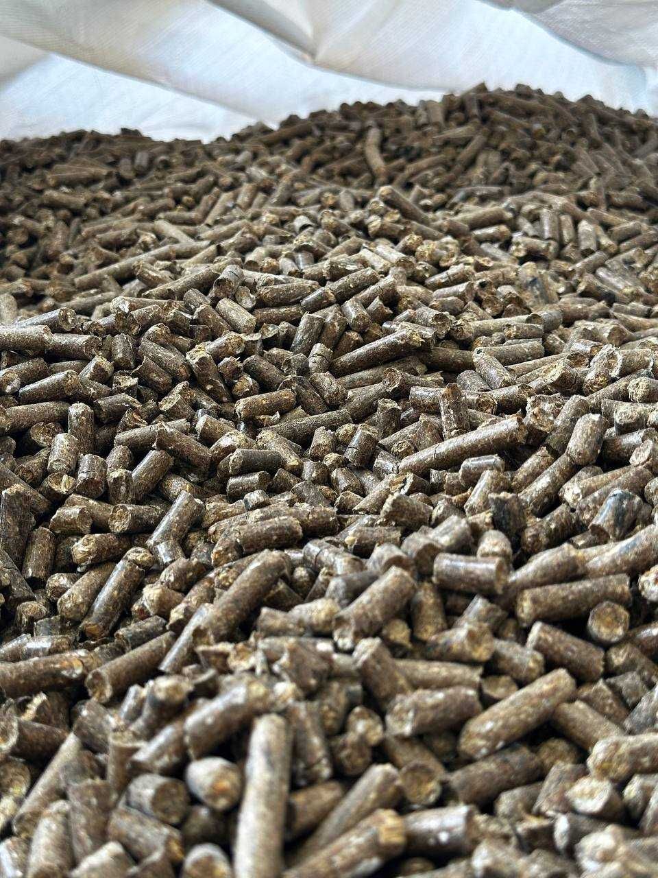 Młóto browarniane suche granulowane – pasza dla bydła mlecznego