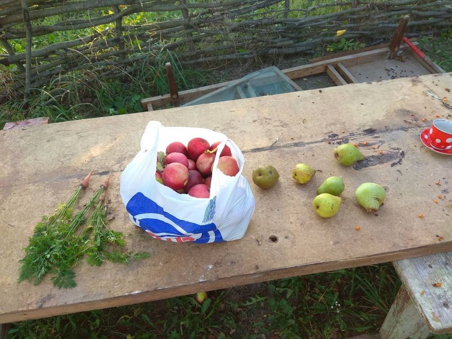 Продажа дачного участка