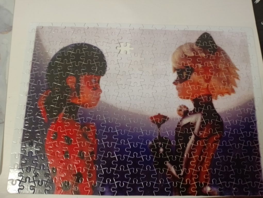Puzzle biedronka i czarny kot