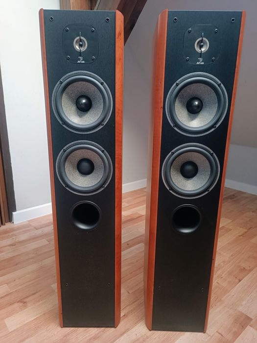 Kolumny Focal Cobalt 816